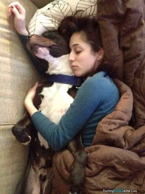 Cozy Nap