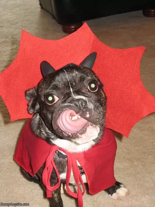 Trick Or Treat