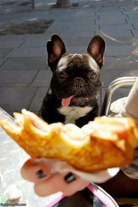 Oh Yes I Want That