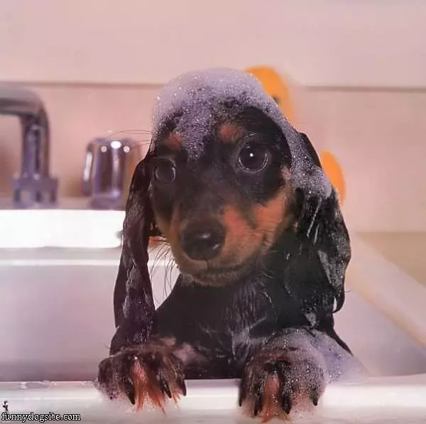 Ready For My Bath