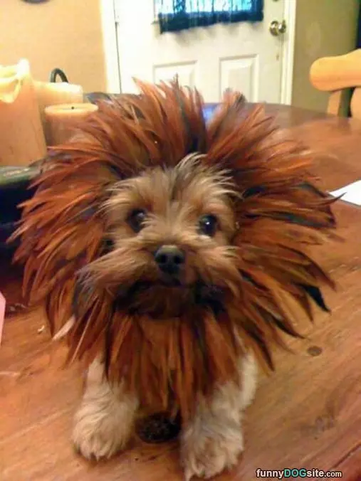 Quite Fuzzy