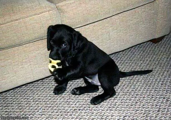 This Is Mine