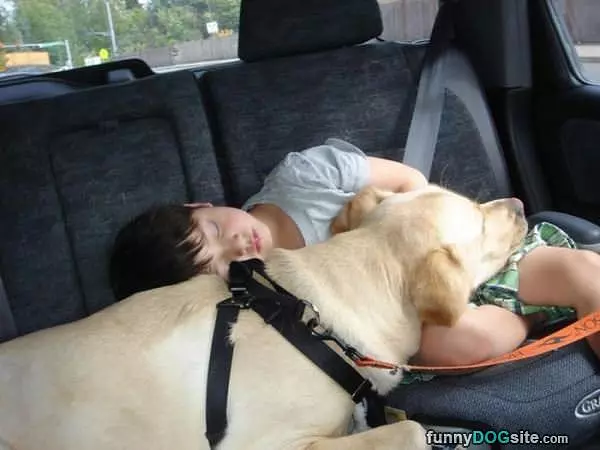 Long Trip