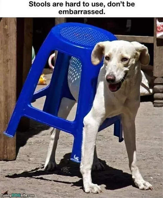 Stools Are Hard To Use