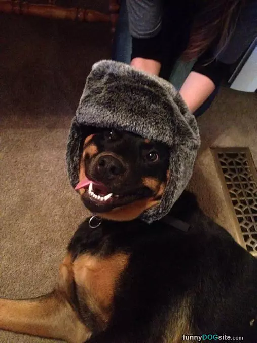 My Crazy Hat