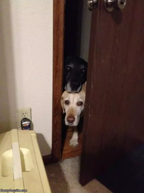 Let Me See Dude