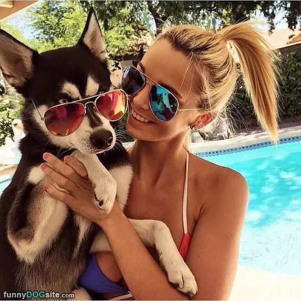 Hanging With My Pup