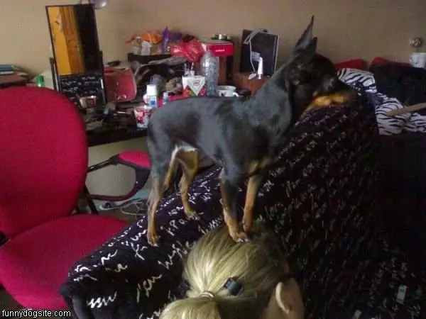 Head Stand