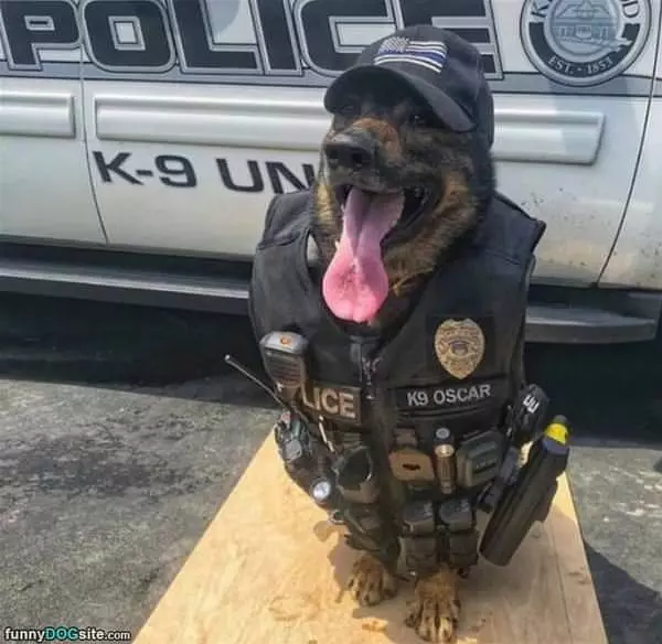 I Am The Police