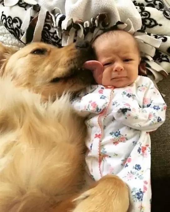 I Like This Human