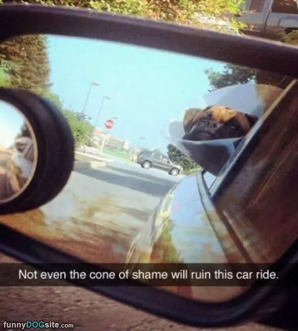 Not Even The Cone