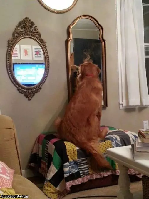 I Am So Handsome