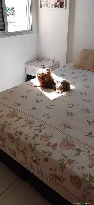 My Favorite Spot