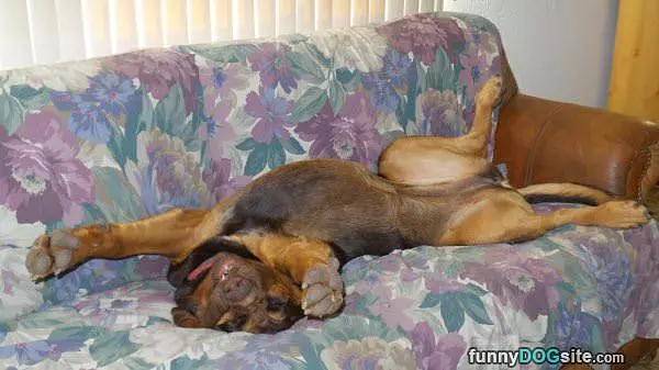 Beauty Rest