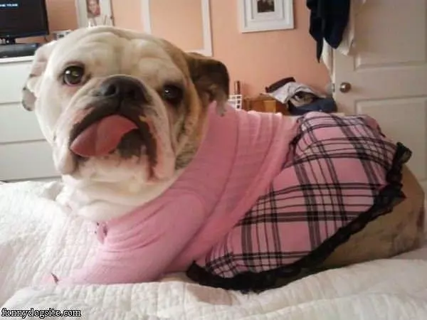 Do You Like My Outfit