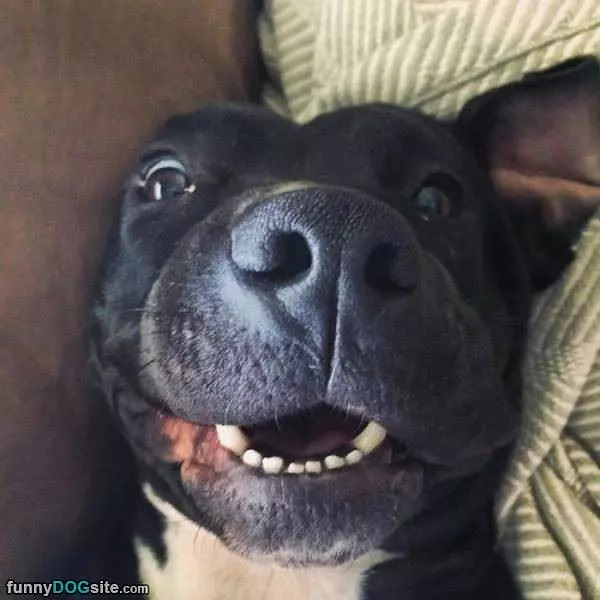 Hey There