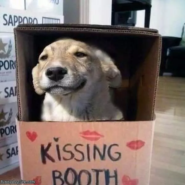 The Kissing Booth