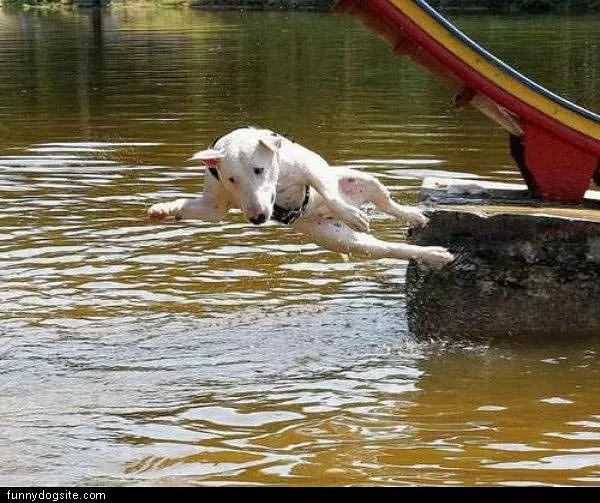 Jumper