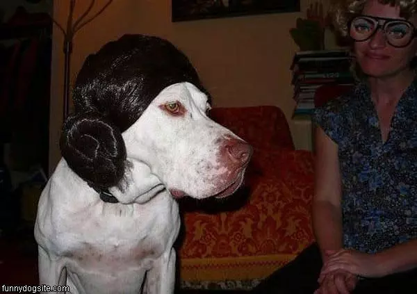 Nice Wig