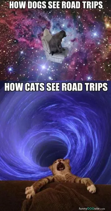 Road Trips In The Car