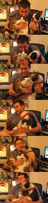 Dogs And Cats