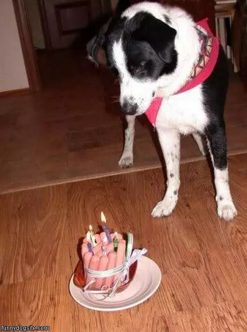 Dogs Birthday Cake