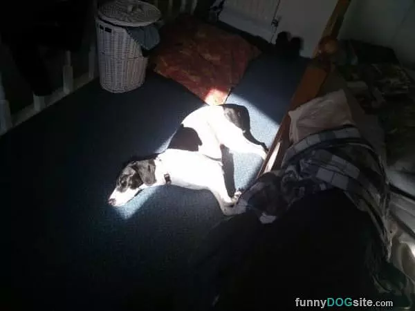 Found The Sunny Spot