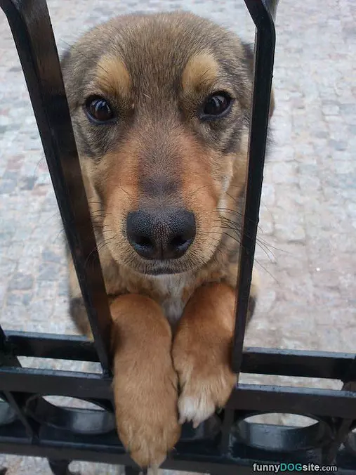 Waiting For You Here
