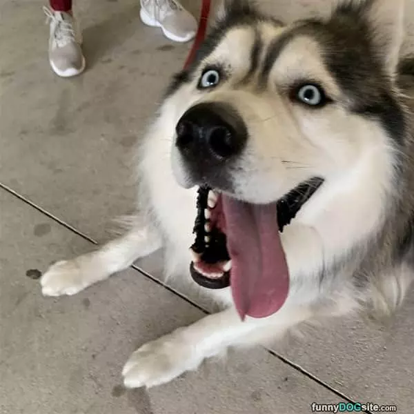 Did You Say Snacks