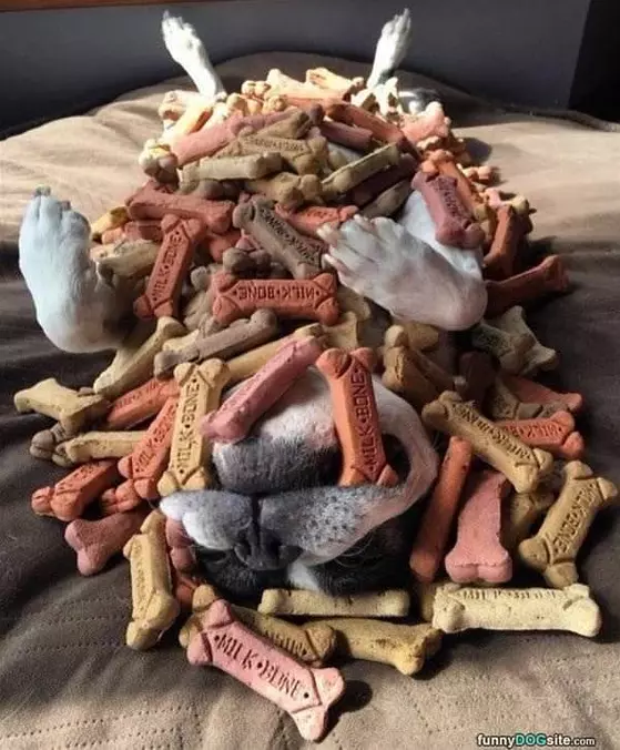 Buried In Bones