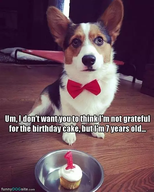 Thanks A Lot But