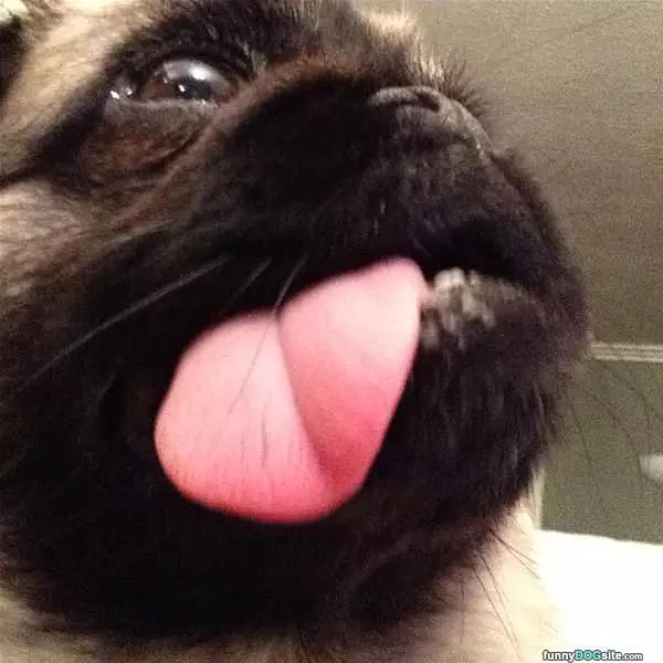 Snapping A Selfie