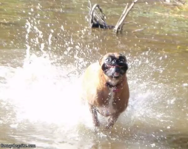 Water Wont Slow Me Down