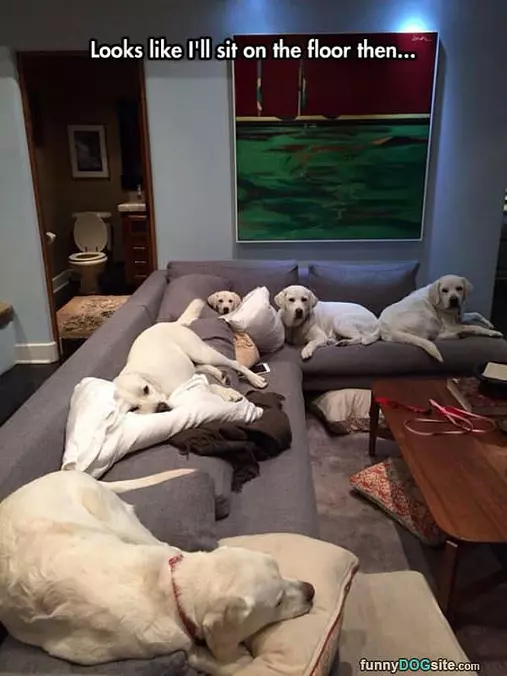 Ill Sit On The Floor Then