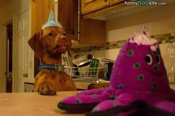 Its Mah Birthday