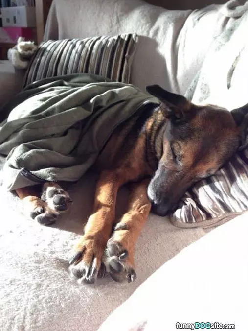 All Curled Up