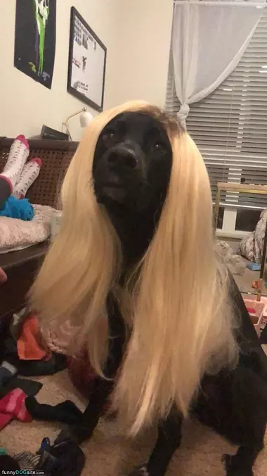 I Look Good