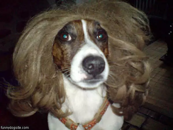 Great Wig