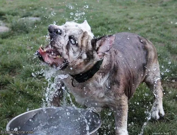 This Water Is Deliiiiiiicious