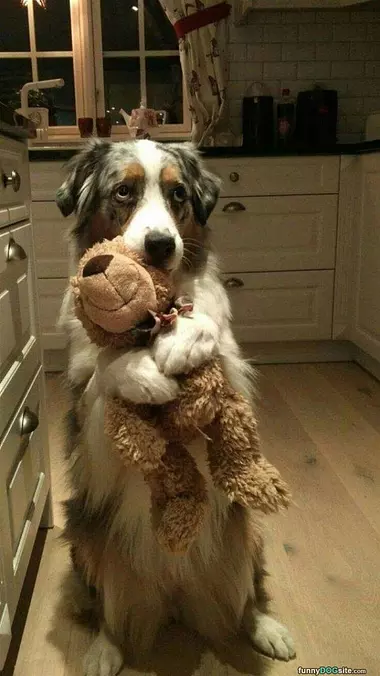 I Got This For You