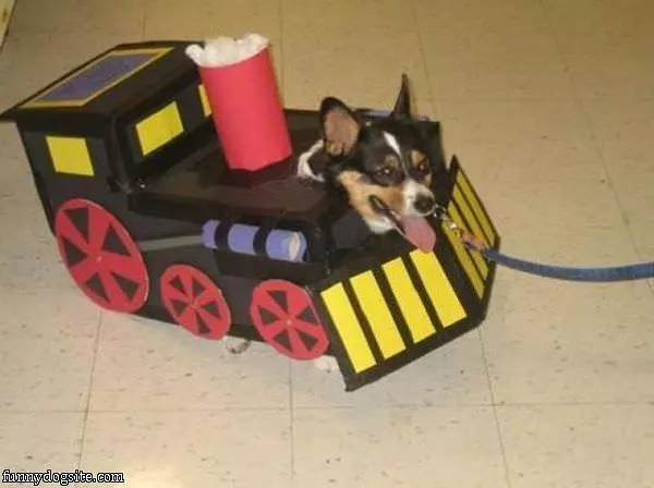 Choooo Choooo