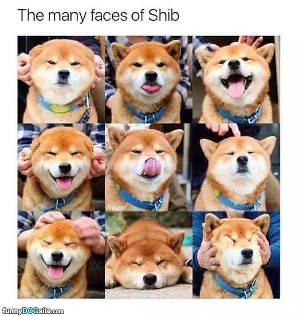 The Many Faces