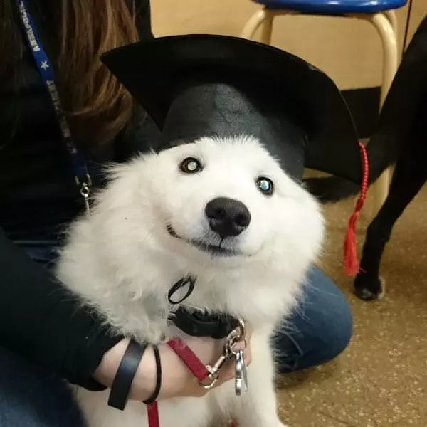 Happy Graduation