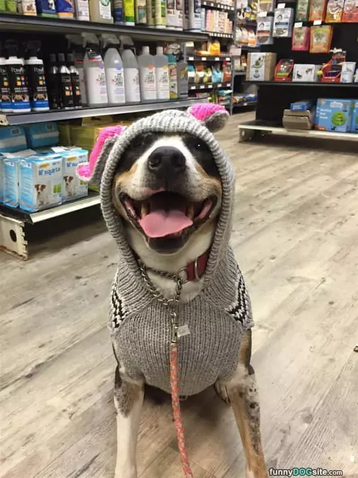 Bundled For Cutness