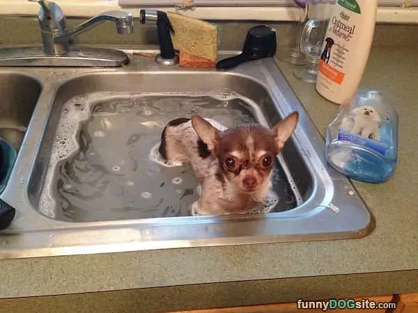 Very Little Bath