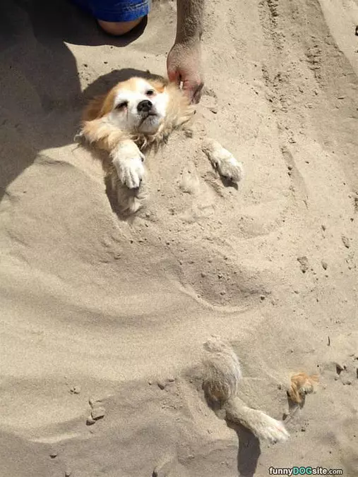 Under The Sand