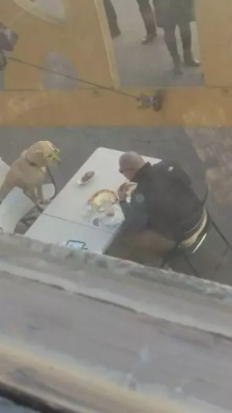 How About A Bite
