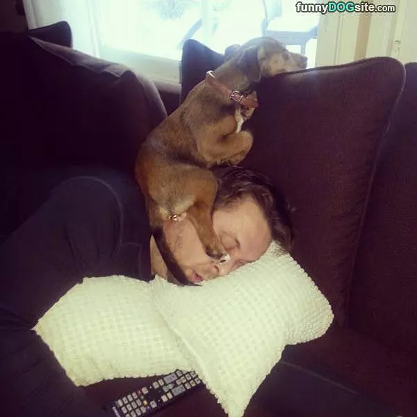 Fun Place For A Nap