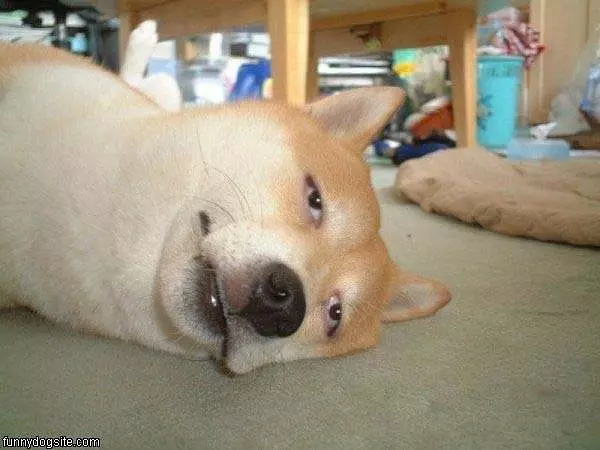 Im So Sleepy