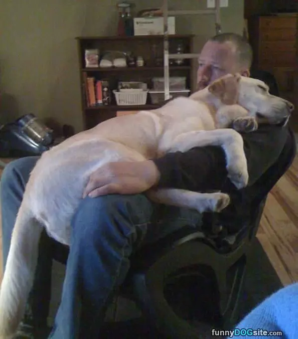 This Is So Comfortable